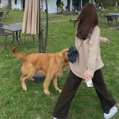 烈马争锋上海滩